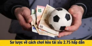 Bí Quyết Đọc Vị Kèo 2.75 Dành Cho Nhà Đầu Tư Chuyên Nghiệp Nhất