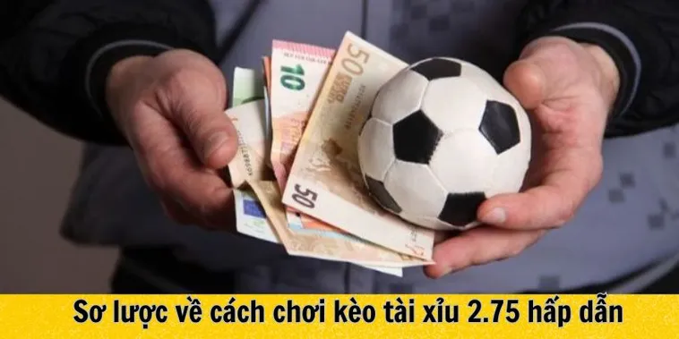 Bí Quyết Đọc Vị Kèo 2.75 Dành Cho Nhà Đầu Tư Chuyên Nghiệp Nhất