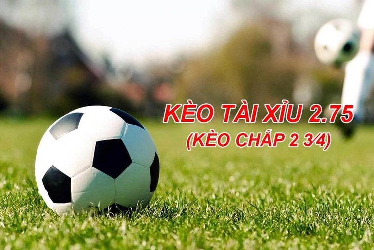 Bí Quyết Đọc Vị Kèo 2.75 Dành Cho Nhà Đầu Tư Chuyên Nghiệp Nhất